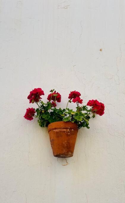 Couples Only, Beautiful 1 Bedroom Apartment In Victoria Building Mojácar Eksteriør billede